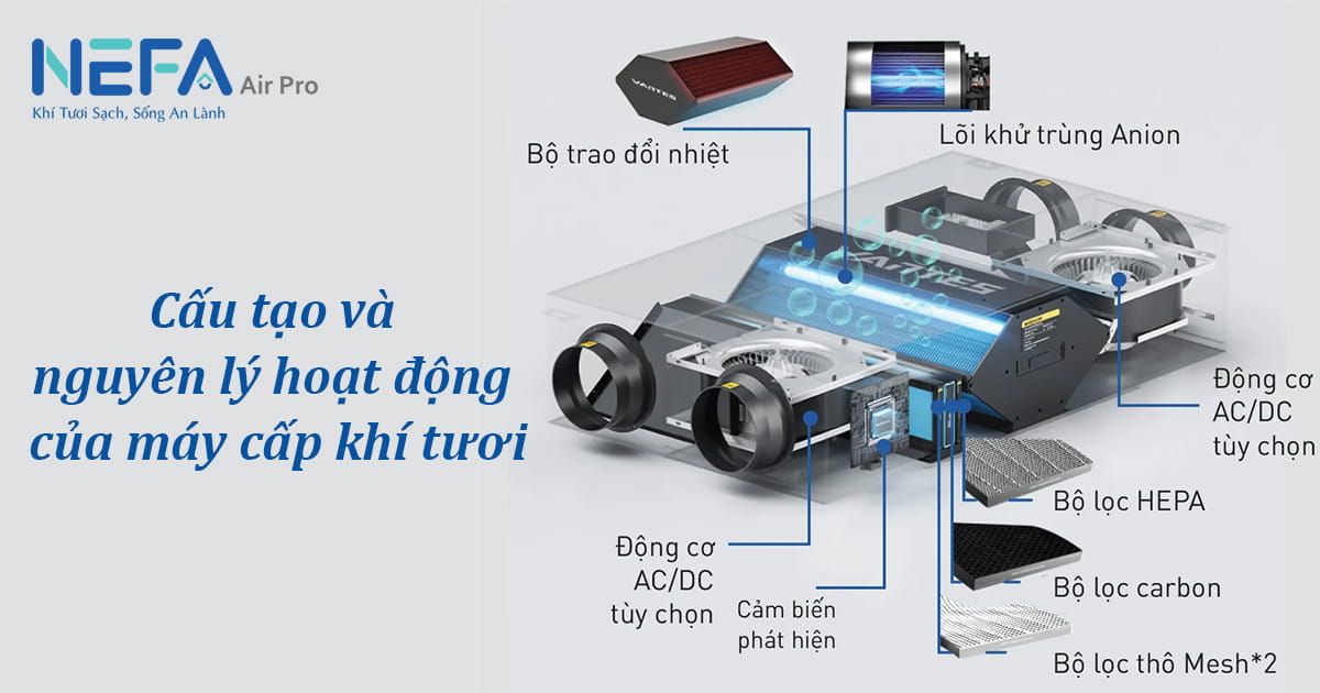 Cấu tạo và nguyên lý hoạt động của máy cấp khí tươi
