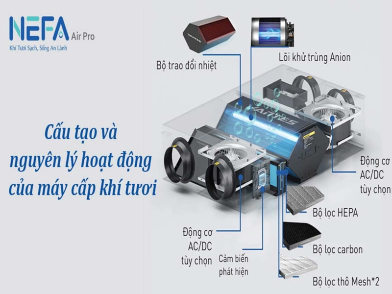 Cấu tạo và nguyên lý hoạt động của máy cấp khí tươi