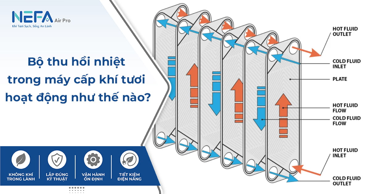 Bộ thu hồi nhiệt trong máy cấp khí tươi hoạt động như thế nào?